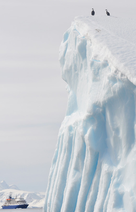 Flipping out with my Antarctic Friends