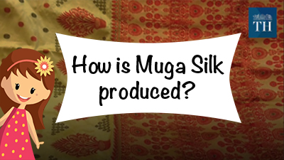 Assam’s Muga Silk