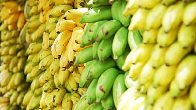 Asia’s largest banana market