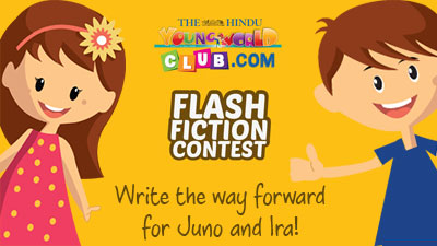 Flash Fiction Contest