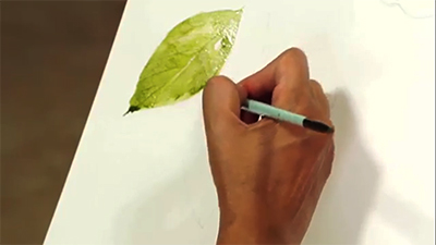 Water Colour Painting – How to Paint Leaves – 1