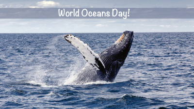 World Oceans Day