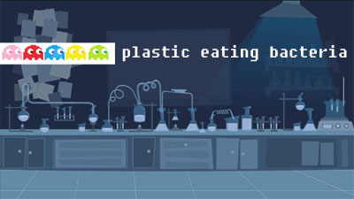 Plastic Eating Bacteria