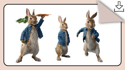 The World of Peter Rabbit