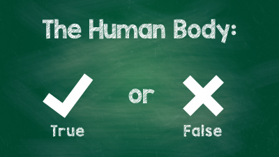 5 Facts: The Human Body