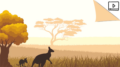 How the kangaroo got its pouch