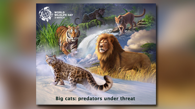 Protect Big Cats