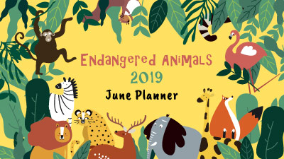 My Monthly Planner: June 2019