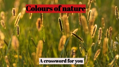 Laughing colours of nature