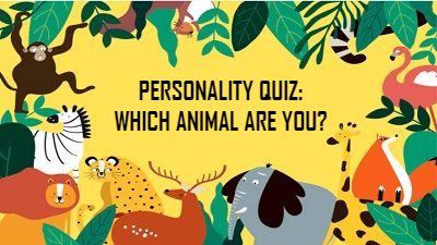 Which animal are you?