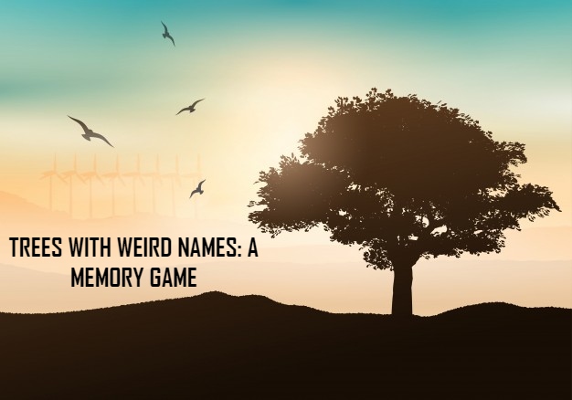 What’s in a name?