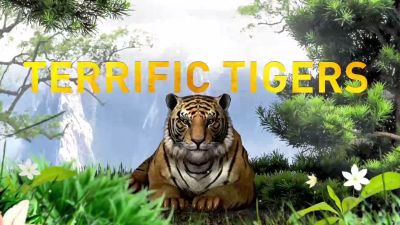 Terrific Tigers