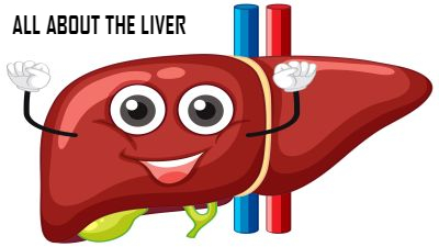 Live up to your liver’s potential