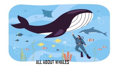 World of the whale