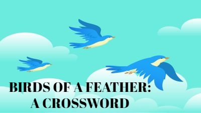 When feathers fly