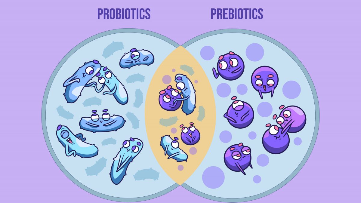 Fueling your gut